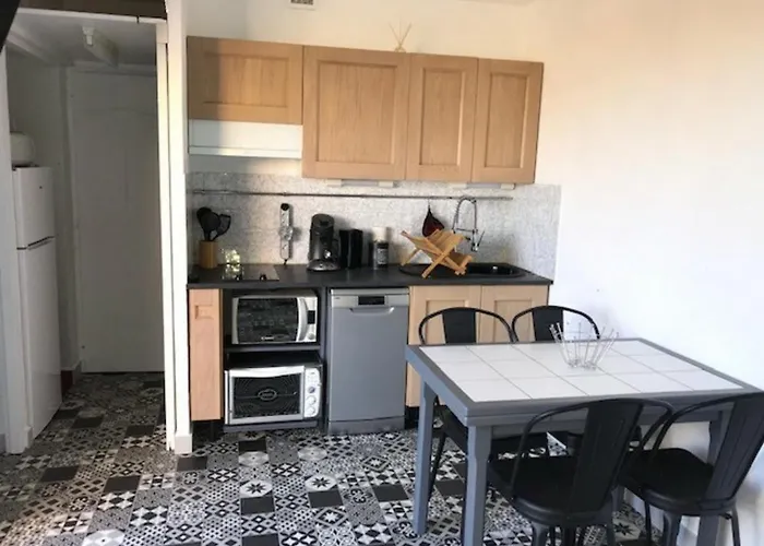 T2, 4 Pers, Face A La Mer, Terrasse, Parking Prive, A 400m Des Commerces, Devant! - Fr-1-81-462 לאוקאט